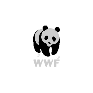 landing wwf